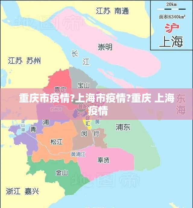 重庆市疫情?上海市疫情?重庆 上海 疫情