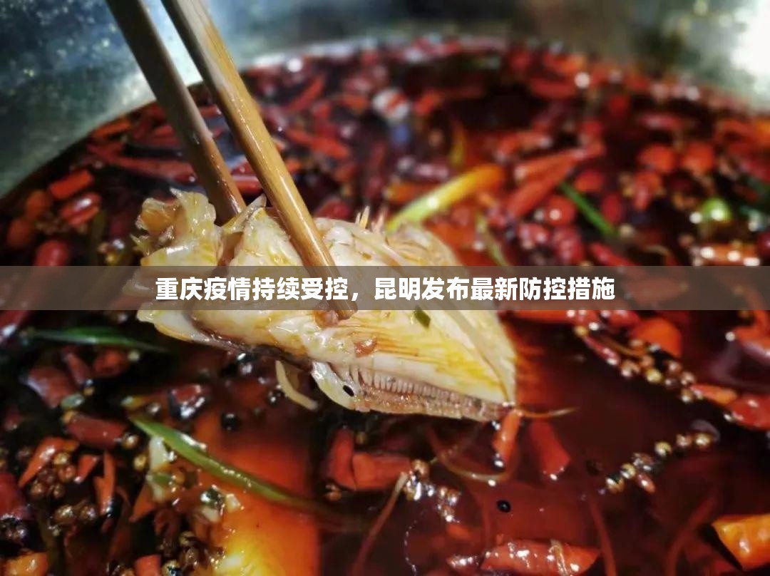 重庆疫情持续受控，昆明发布最新防控措施