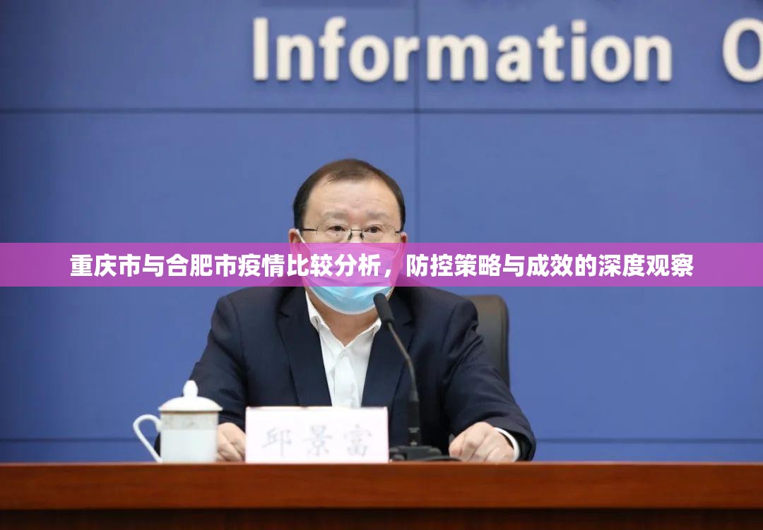 重庆市与合肥市疫情比较分析，防控策略与成效的深度观察