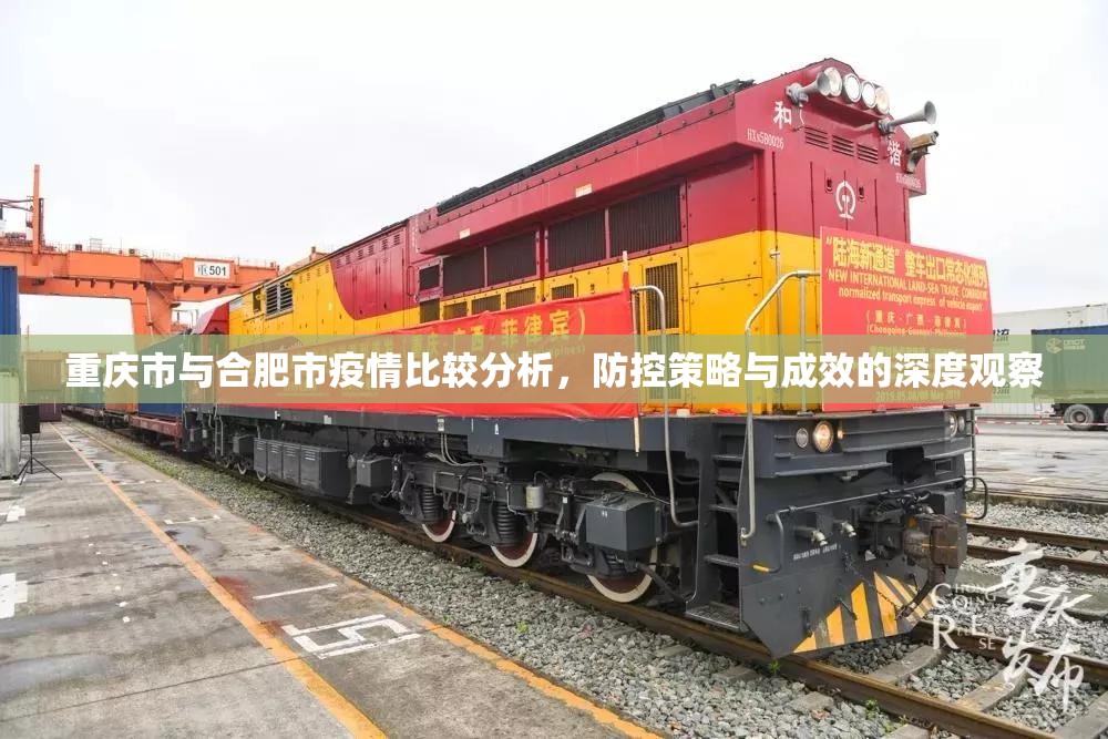 重庆市与合肥市疫情比较分析，防控策略与成效的深度观察