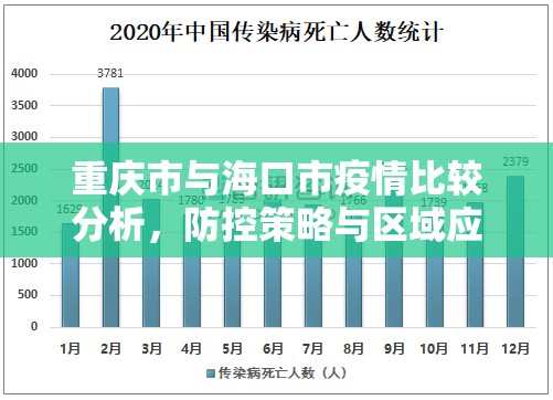 重庆市与海口市疫情比较分析，防控策略与区域应对的差异化实践