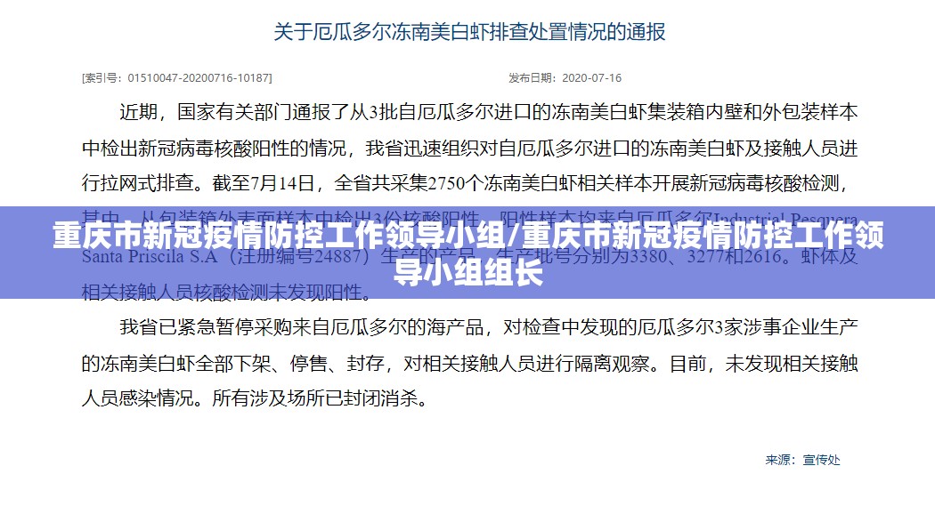 重庆市新冠疫情防控工作领导小组/重庆市新冠疫情防控工作领导小组组长