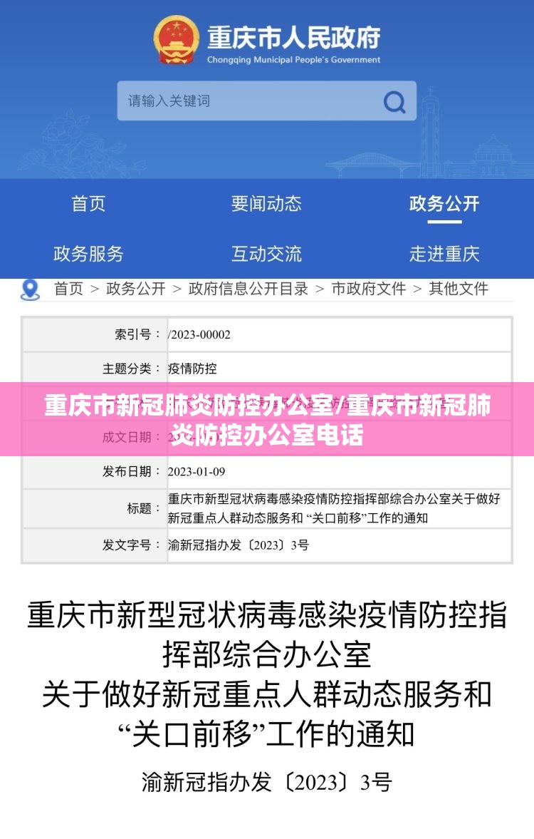 重庆市新冠肺炎防控办公室/重庆市新冠肺炎防控办公室电话