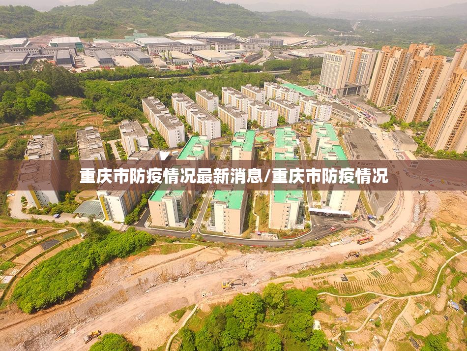 重庆市防疫情况最新消息/重庆市防疫情况