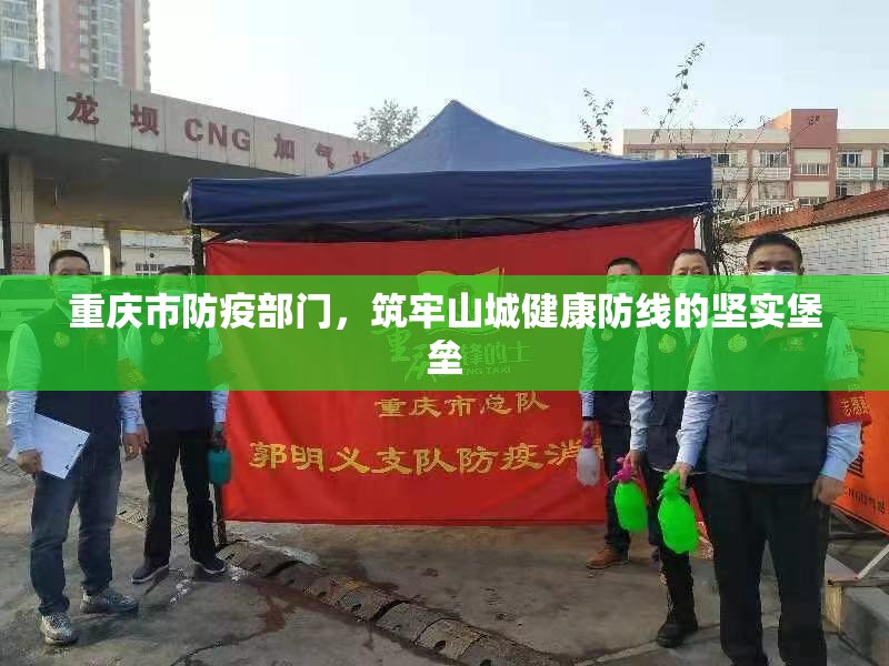 重庆市防疫部门，筑牢山城健康防线的坚实堡垒