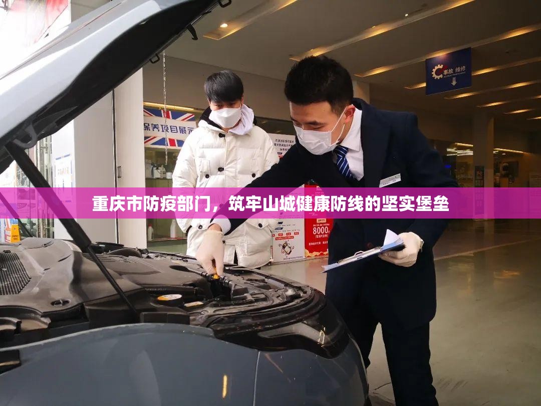 重庆市防疫部门，筑牢山城健康防线的坚实堡垒