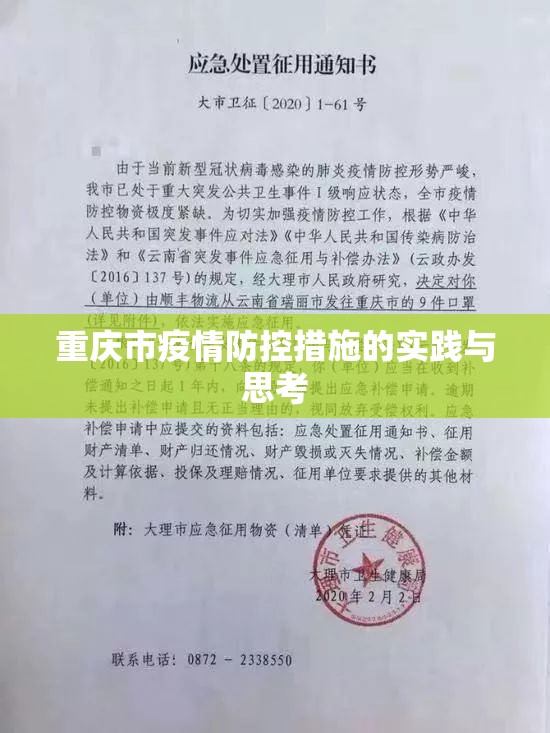 重庆市疫情防控措施的实践与思考