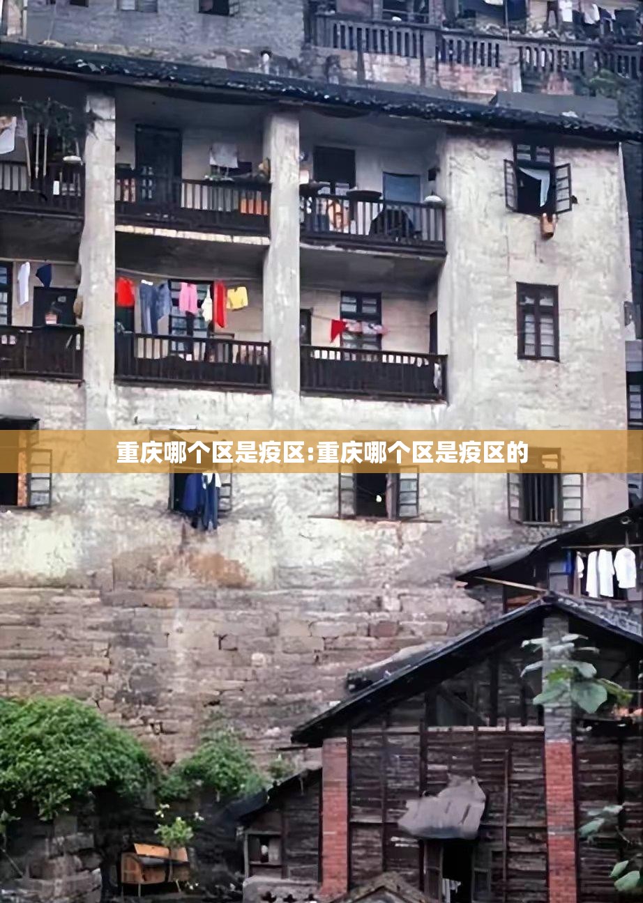 重庆哪个区是疫区:重庆哪个区是疫区的