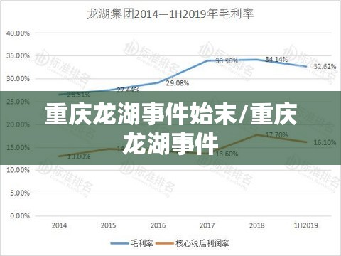 重庆龙湖事件始末/重庆龙湖事件