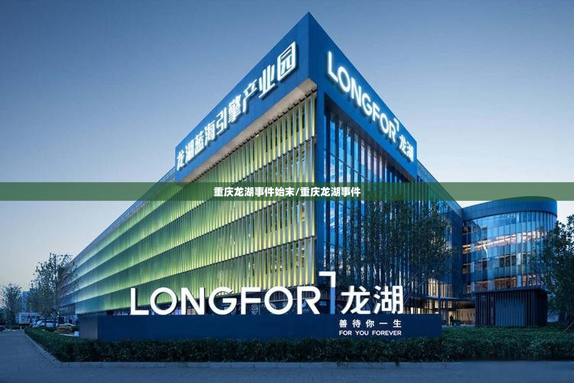 重庆龙湖事件始末/重庆龙湖事件