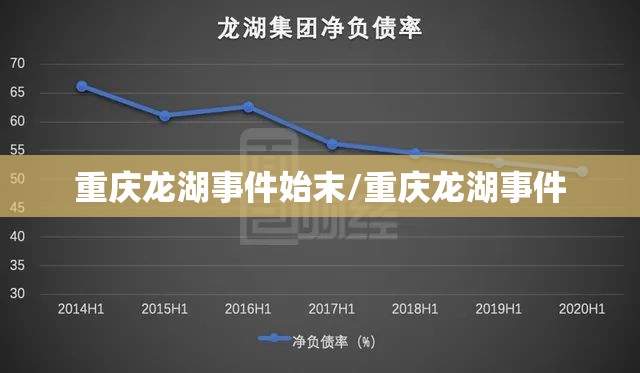 重庆龙湖事件始末/重庆龙湖事件