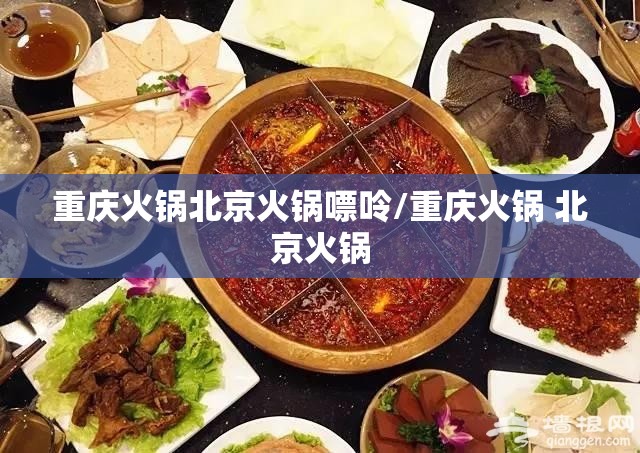 重庆火锅北京火锅嘌呤/重庆火锅 北京火锅