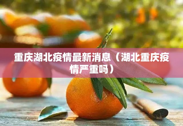 重庆湖北疫情最新消息（湖北重庆疫情严重吗）