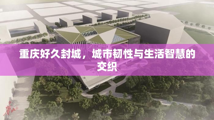 重庆好久封城，城市韧性与生活智慧的交织