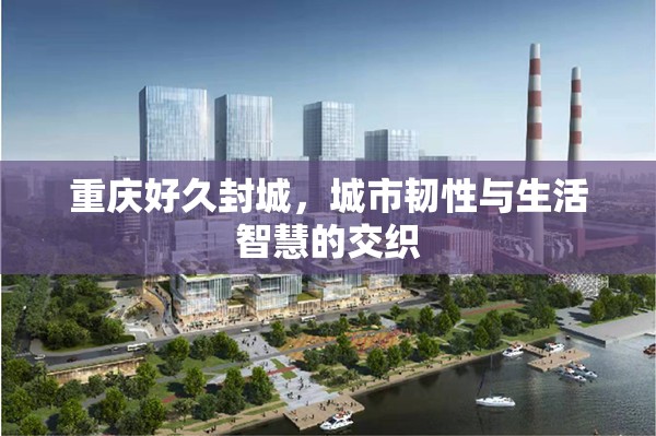 重庆好久封城，城市韧性与生活智慧的交织