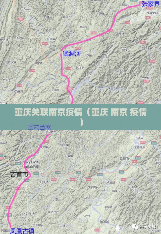 重庆关联南京疫情（重庆 南京 疫情）