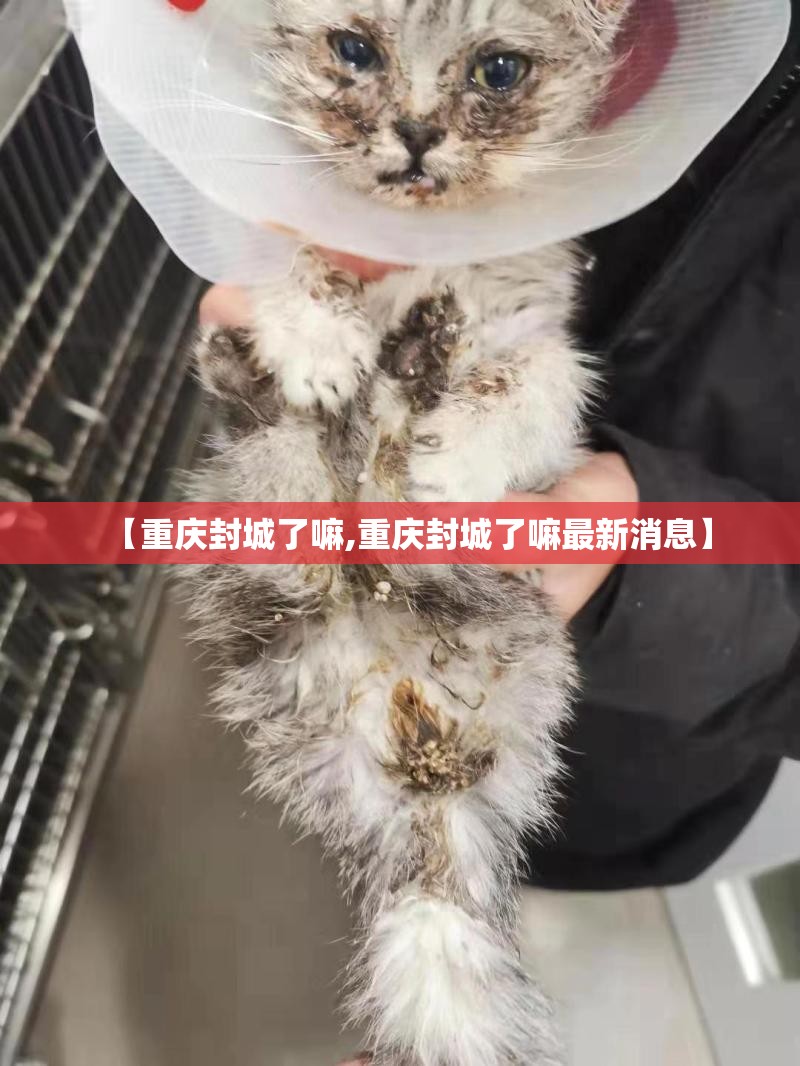 【重庆封城了嘛,重庆封城了嘛最新消息】