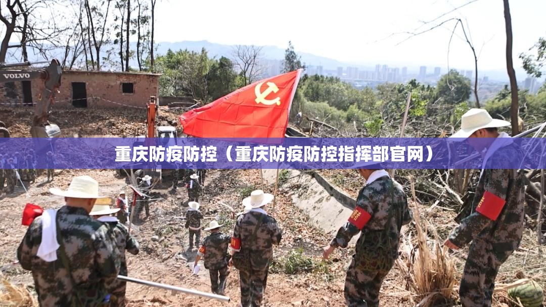 重庆防疫防控（重庆防疫防控指挥部官网）