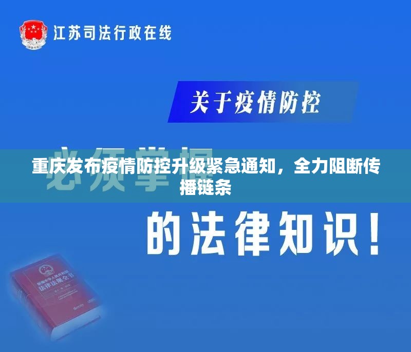 重庆发布疫情防控升级紧急通知，全力阻断传播链条