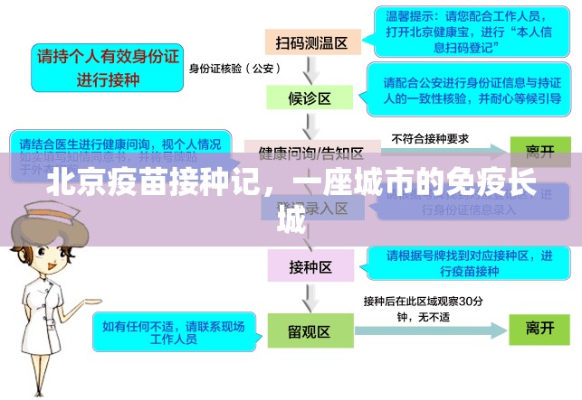 北京疫苗接种记，一座城市的免疫长城