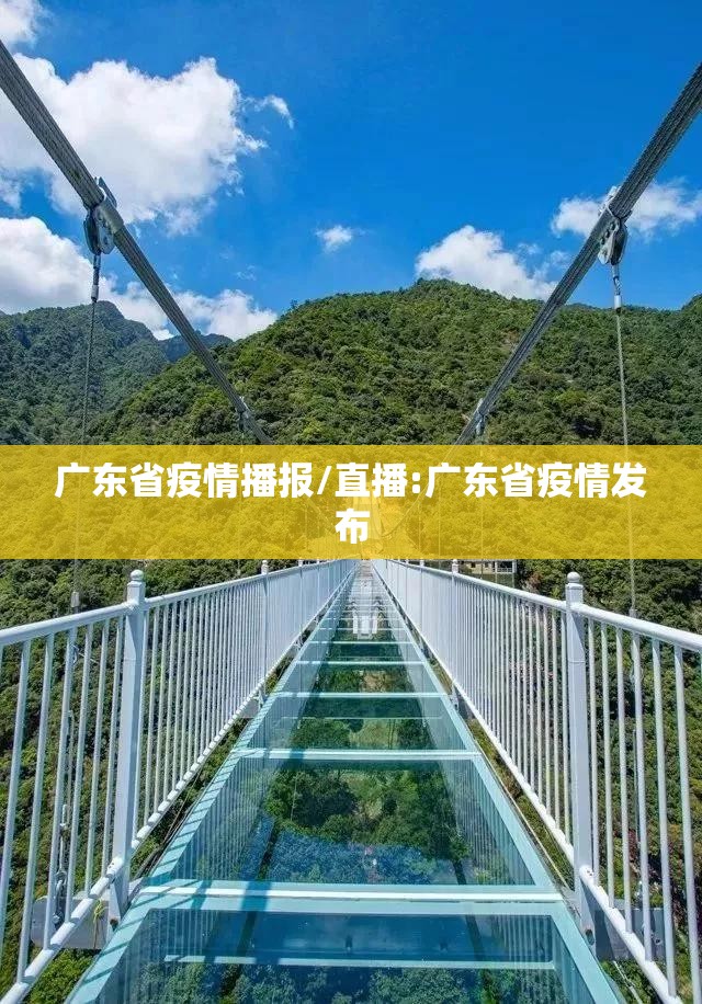 广东省疫情播报/直播:广东省疫情发布