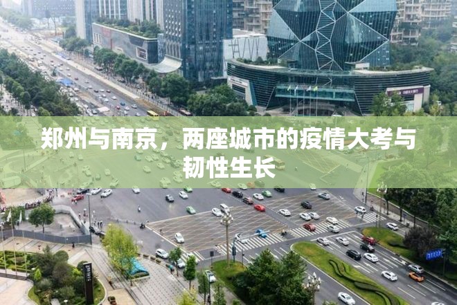 郑州与南京，两座城市的疫情大考与韧性生长