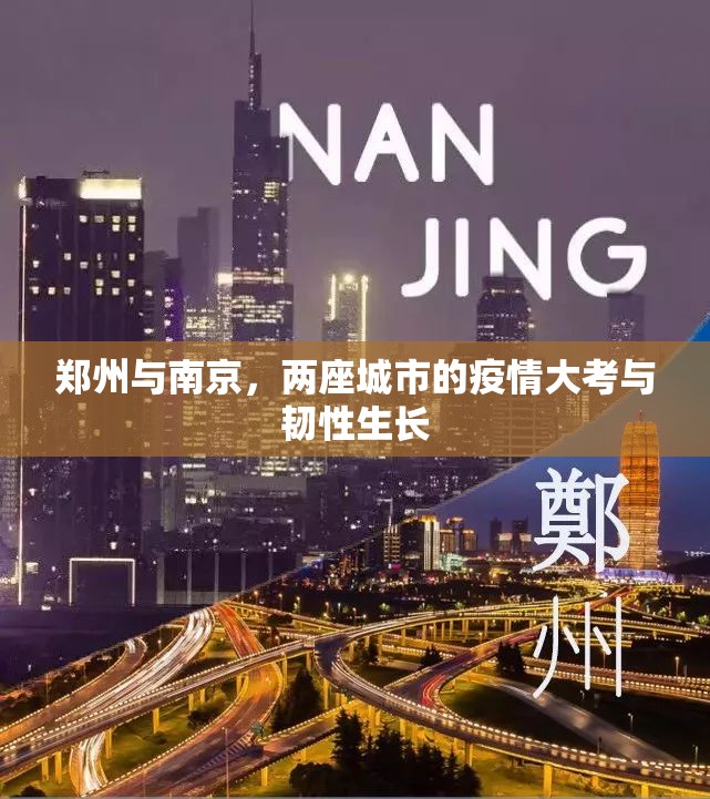 郑州与南京，两座城市的疫情大考与韧性生长