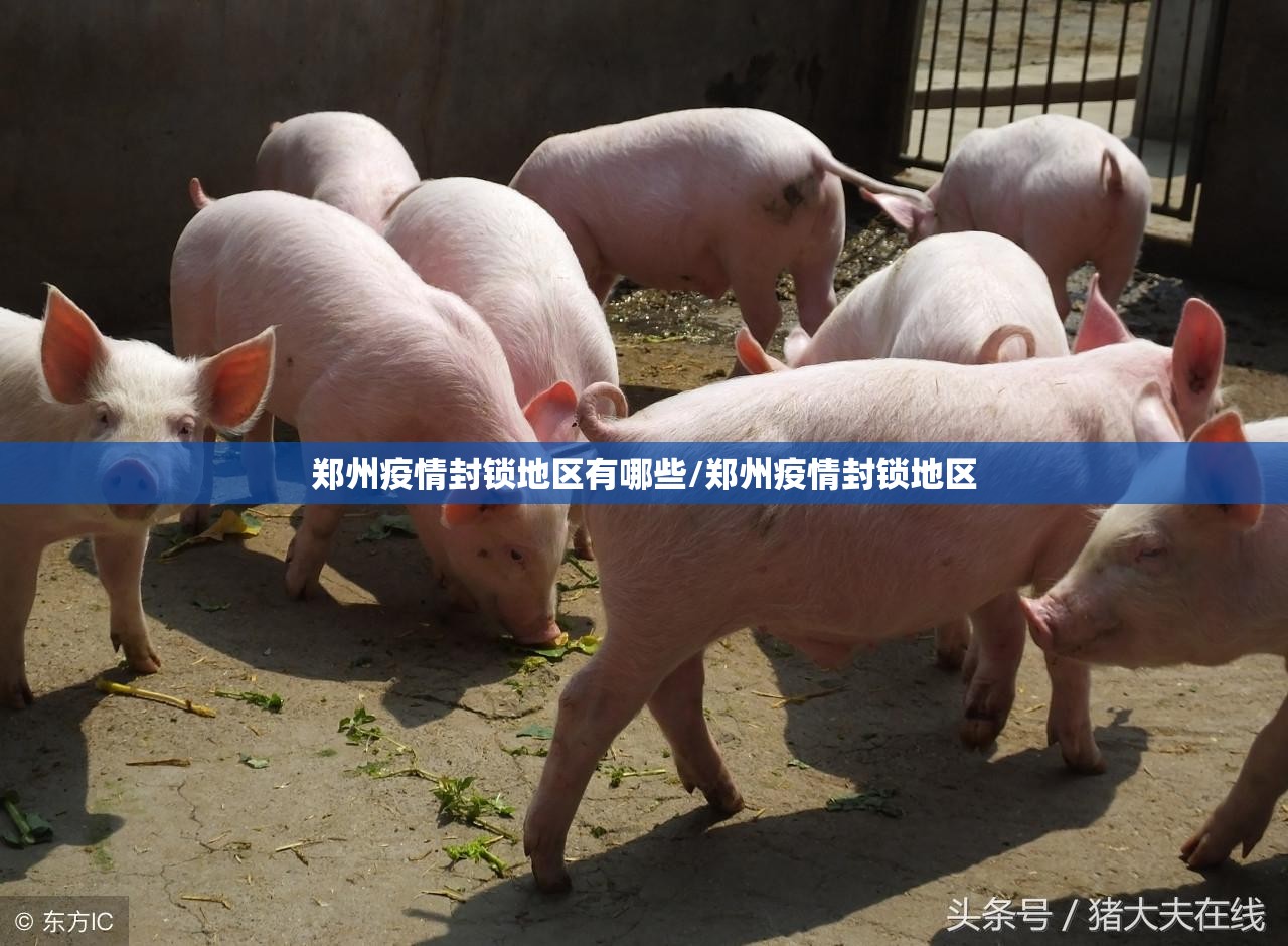 郑州疫情封锁地区有哪些/郑州疫情封锁地区