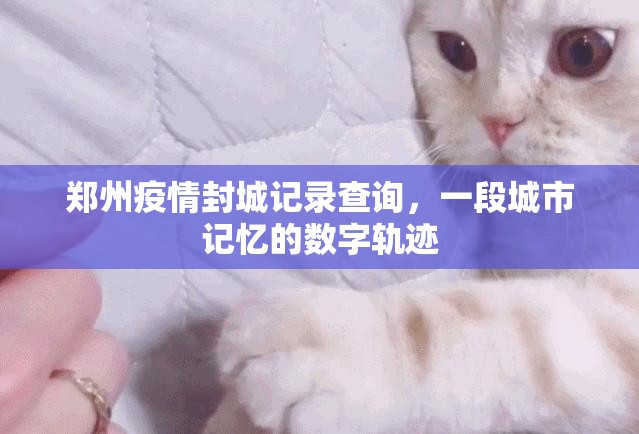 郑州疫情封城记录查询，一段城市记忆的数字轨迹