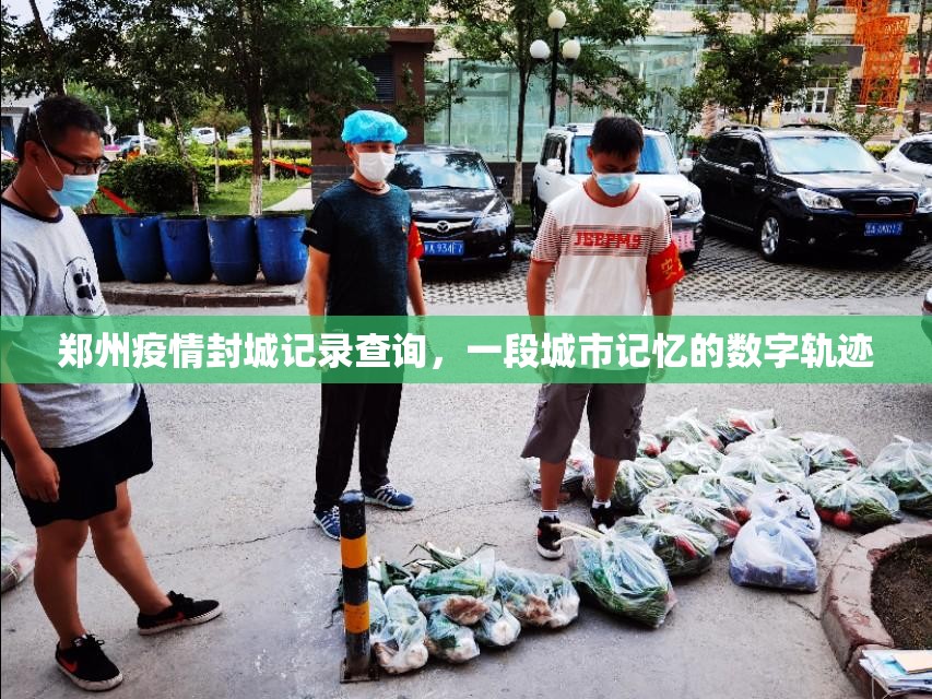 郑州疫情封城记录查询，一段城市记忆的数字轨迹