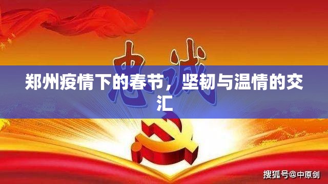 郑州疫情下的春节，坚韧与温情的交汇