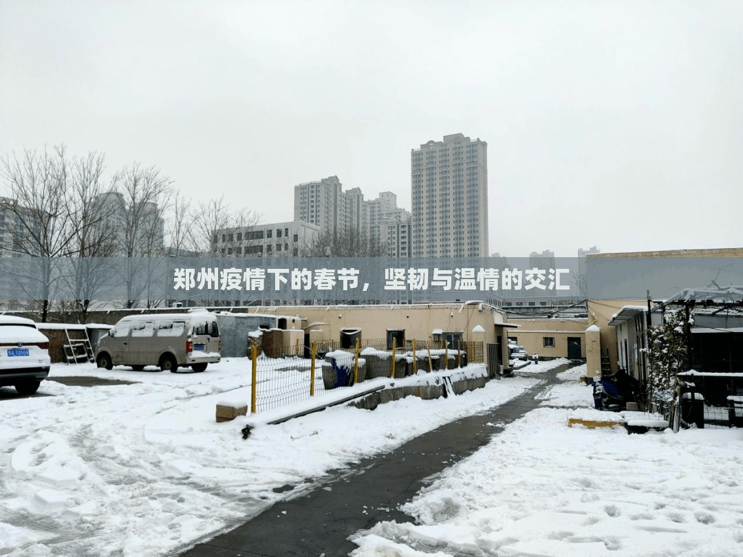 郑州疫情下的春节，坚韧与温情的交汇