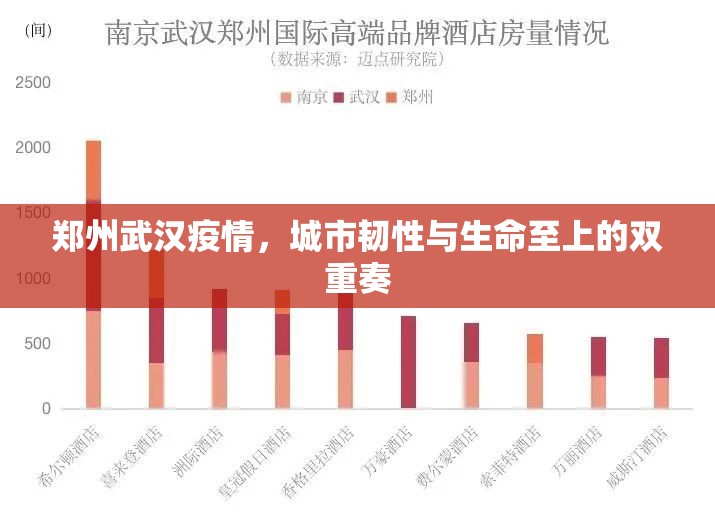 郑州武汉疫情，城市韧性与生命至上的双重奏