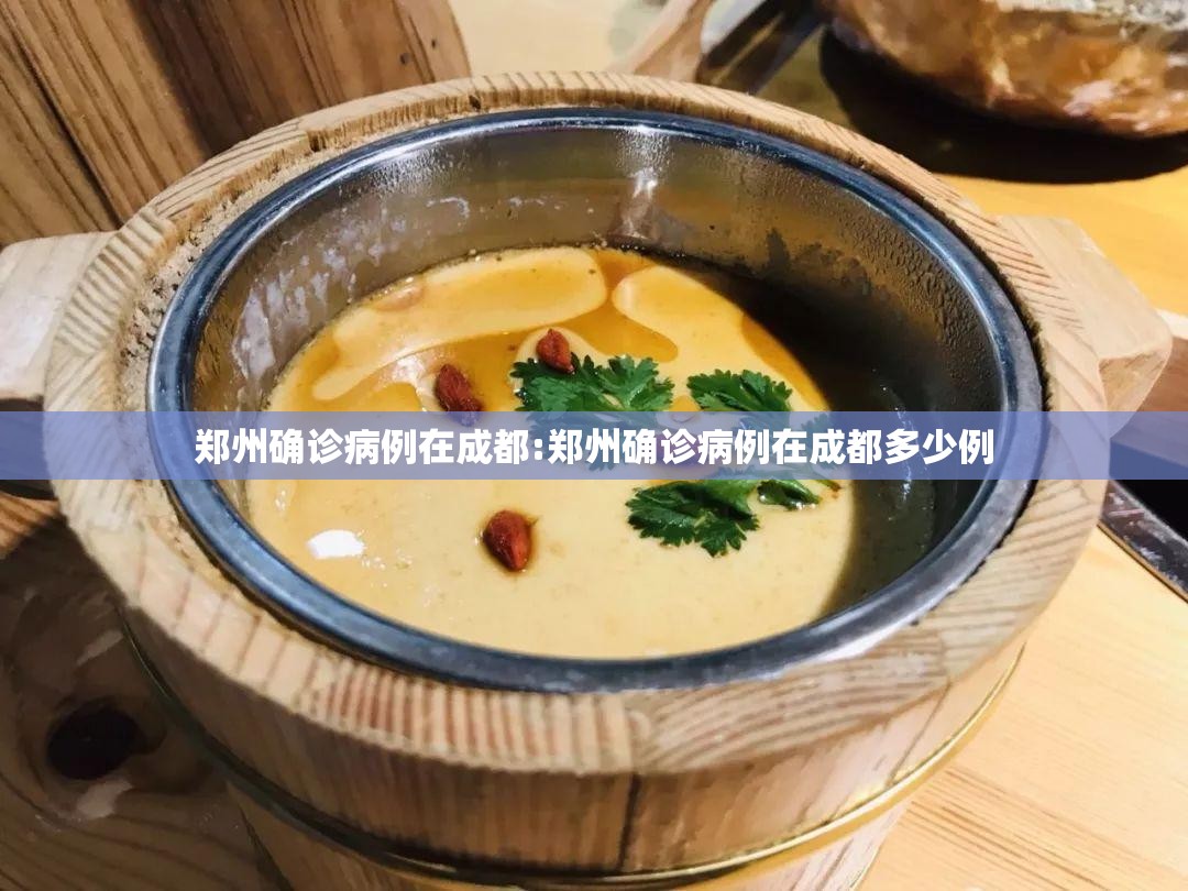 郑州确诊病例在成都:郑州确诊病例在成都多少例