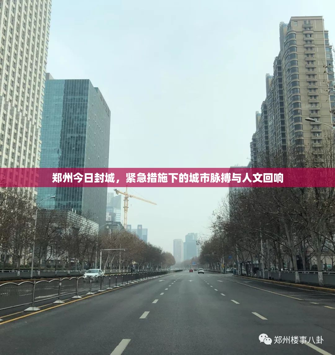 郑州今日封城，紧急措施下的城市脉搏与人文回响