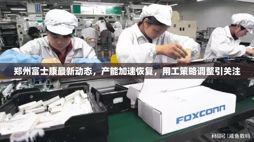 郑州富士康最新动态，产能加速恢复，用工策略调整引关注