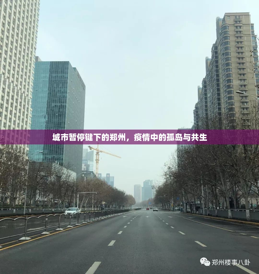 城市暂停键下的郑州，疫情中的孤岛与共生