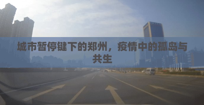 城市暂停键下的郑州，疫情中的孤岛与共生