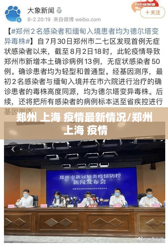 郑州 上海 疫情最新情况/郑州 上海 疫情