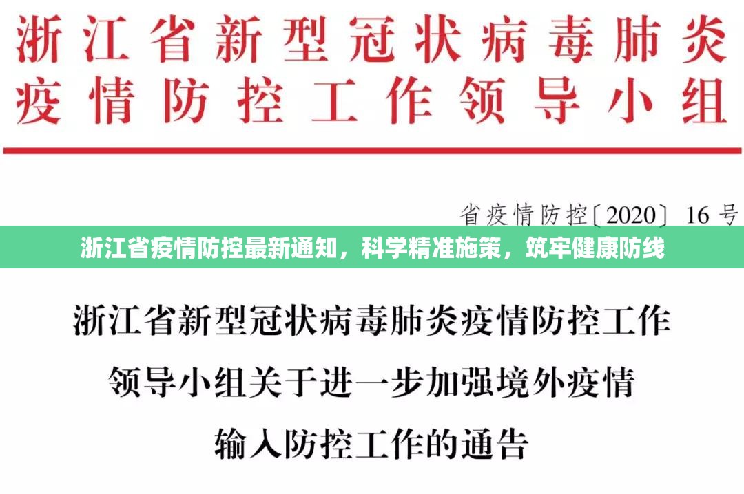 浙江省疫情防控最新通知，科学精准施策，筑牢健康防线