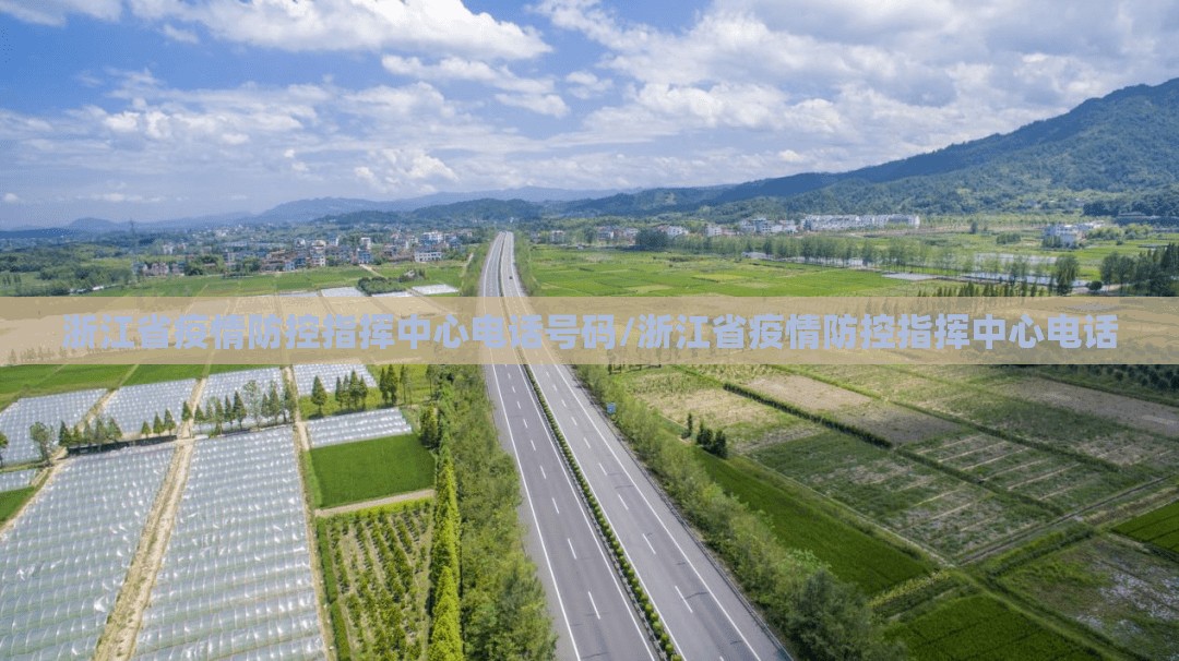 浙江省疫情防控指挥中心电话号码/浙江省疫情防控指挥中心电话