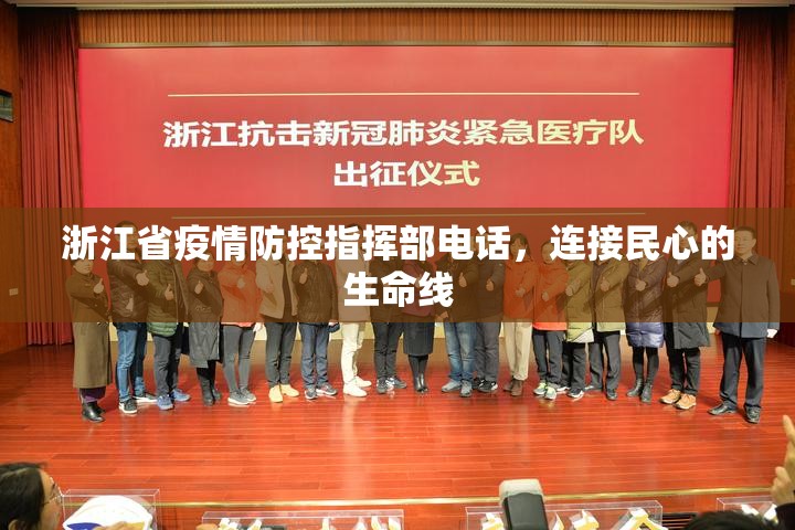 浙江省疫情防控指挥部电话，连接民心的生命线