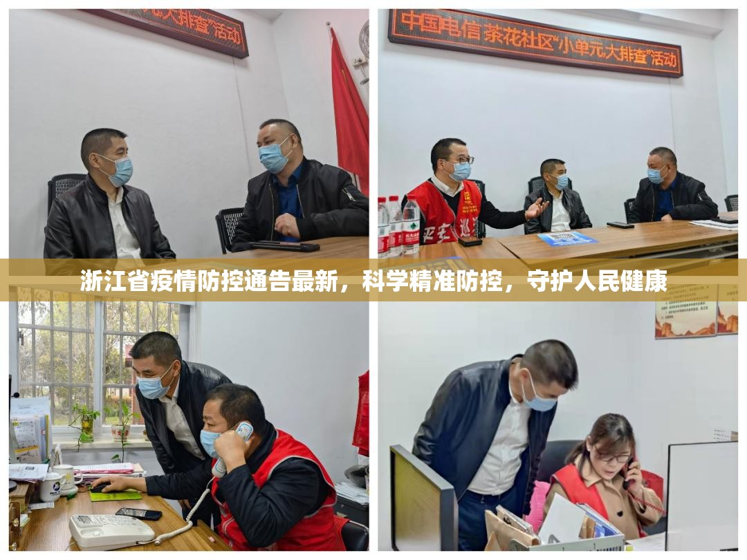 浙江省疫情防控通告最新，科学精准防控，守护人民健康
