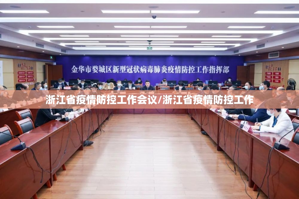 浙江省疫情防控工作会议/浙江省疫情防控工作