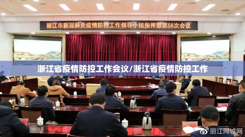 浙江省疫情防控工作会议/浙江省疫情防控工作