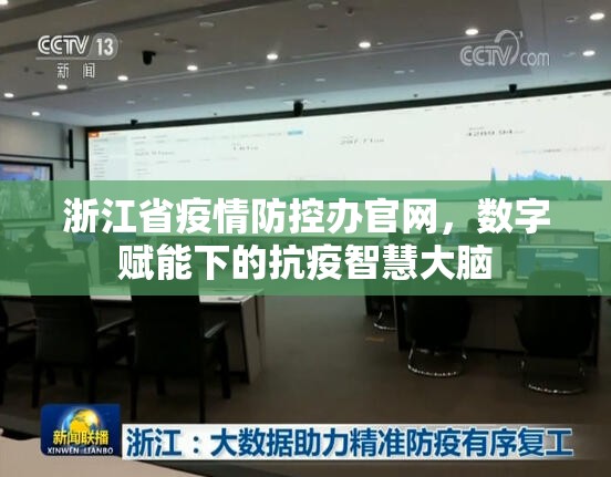 浙江省疫情防控办官网，数字赋能下的抗疫智慧大脑