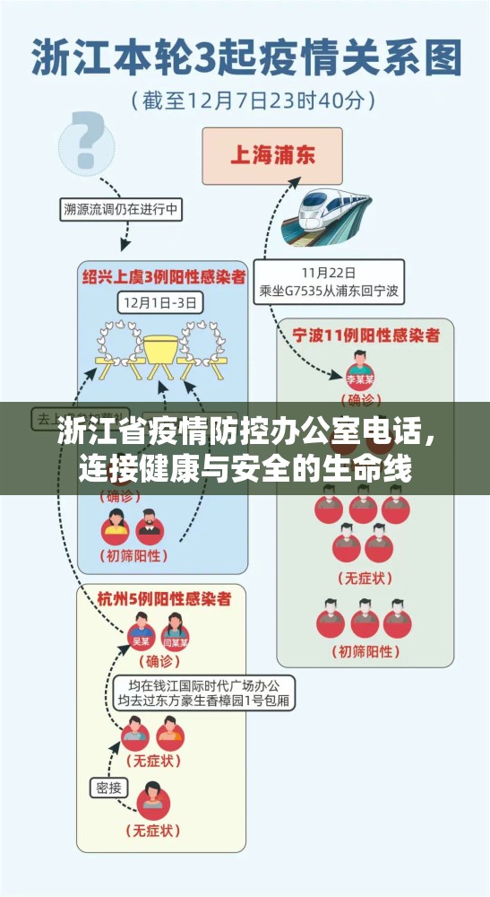 浙江省疫情防控办公室电话，连接健康与安全的生命线