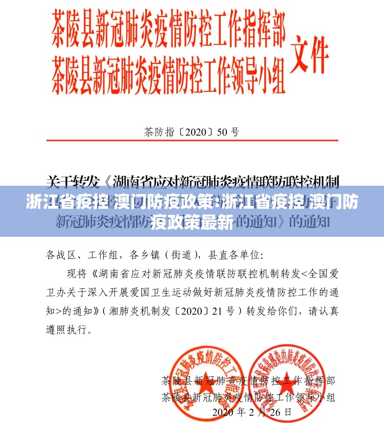 浙江省疫控 澳门防疫政策:浙江省疫控 澳门防疫政策最新