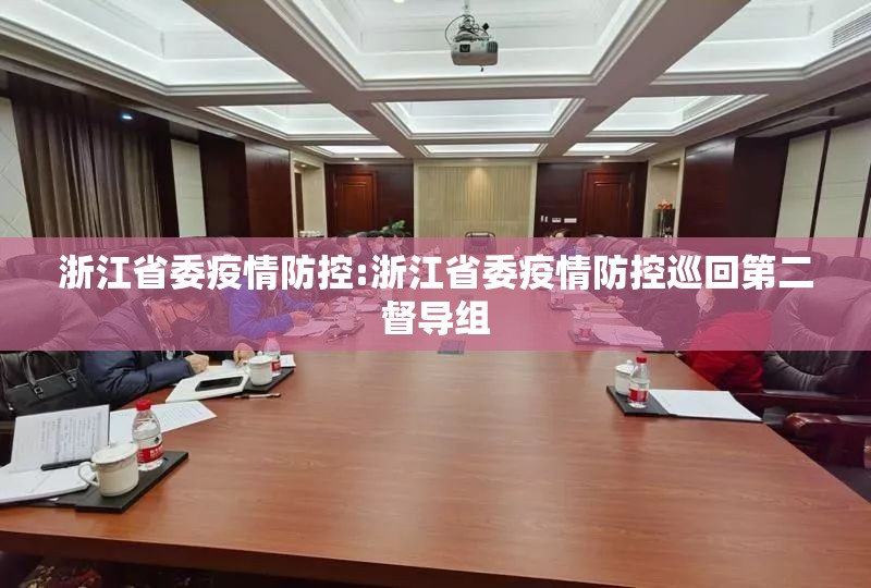 浙江省委疫情防控:浙江省委疫情防控巡回第二督导组