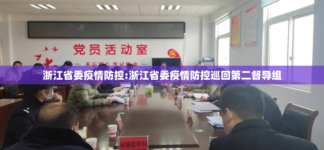 浙江省委疫情防控:浙江省委疫情防控巡回第二督导组